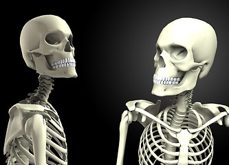 Image showing Two Skulls Looking At Each Other