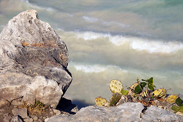 Image showing Tulum beach