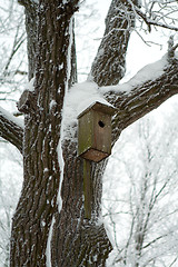 Image showing Bird house on the tree in winter