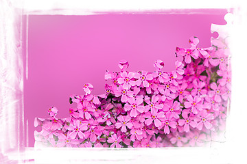Image showing pink flower frame with puzzle of flowers