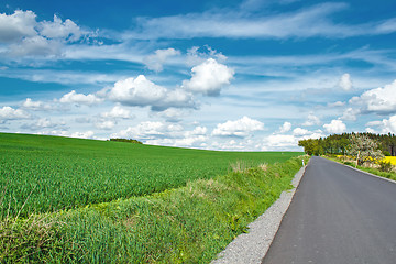 Image showing Beautiful summer rural landscape with road