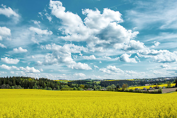 Image showing Beautiful summer rural landscape