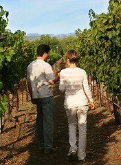 Image showing Couple at vineyard