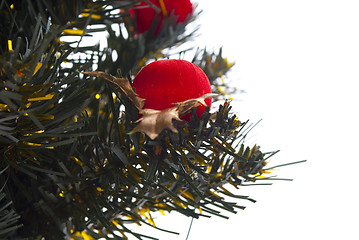 Image showing Christmas tree close up