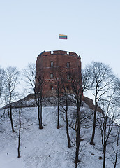 Image showing Tower of Gediminas, Vilnius, Lithuania