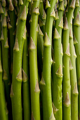 Image showing close-up of asparagus