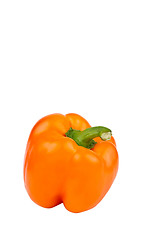 Image showing Orange Bell Pepper