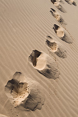 Image showing footprints across sand dunes