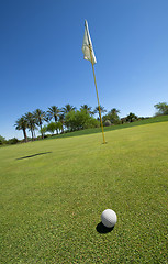 Image showing Golf ball ongreen with flag