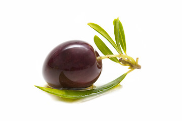 Image showing macro of a fresh olives bathed in olive oil