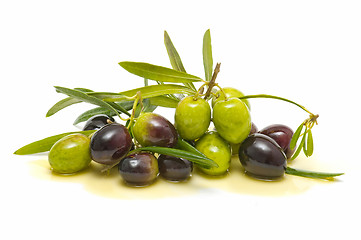 Image showing variety of fresh olives with olive oil