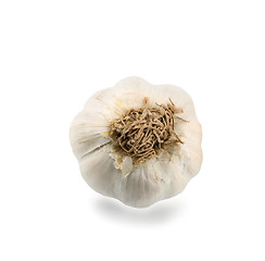 Image showing garlic