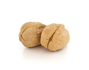 Image showing Walnut brown nut closeup on white background