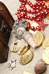 Image showing golden coins with marine treasures