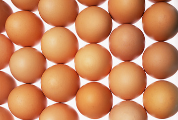 Image showing eggs