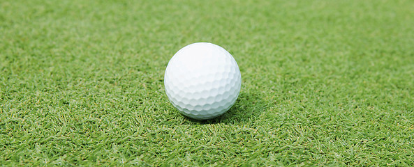 Image showing Golf Ball on the Green Grass