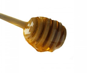 Image showing Honey dripping from a wooden dipper isolated