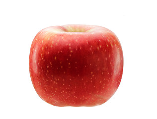 Image showing Red apple