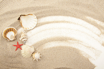 Image showing Set of Seashells