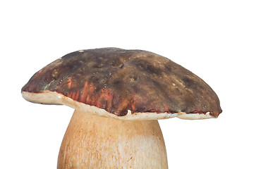 Image showing porcini mushroom on the white