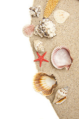 Image showing Set of Seashells