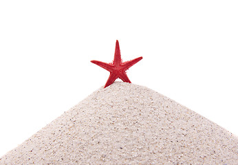 Image showing Red Sea star on the white sand beach