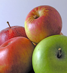 Image showing Apples