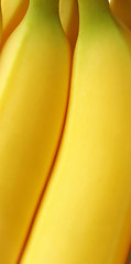 Image showing bananas