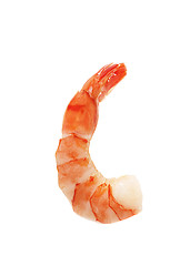 Image showing Closeup view of shrimp isolated