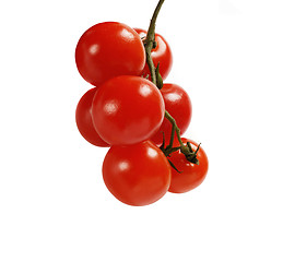 Image showing beautiful red tomatoes