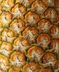 Image showing Detail pineapple close-up