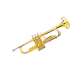 Image showing gold lacquer trumpet