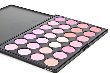 Image showing Makeup set. Professional multicolor eyeshadow palette