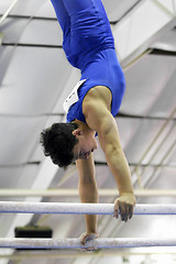 Image showing Gymnast on parallel bars