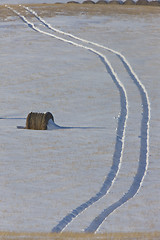 Image showing Hay Bale and tractor tracks