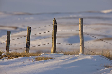 Image showing Prairie Fence in Winter