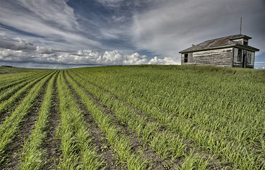 Image showing Abandoned Farm