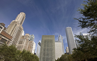 Image showing Chicago Cityscape