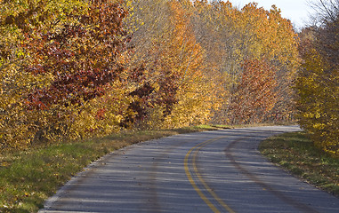 Image showing Autumn Trees