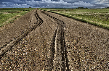 Image showing Mud Tire Tracks