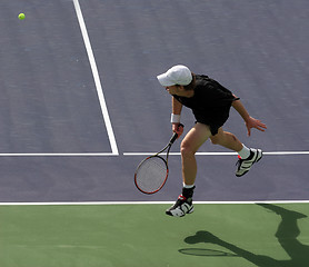 Image showing Tennis player