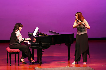 Image showing At the concert