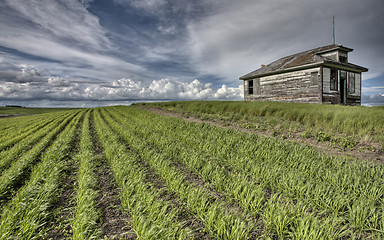 Image showing Abandoned Farm