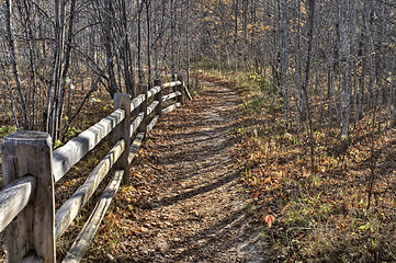 Image showing Log Rolling Area Grand Sable Dunes 