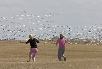 Image showing Girls in Field 