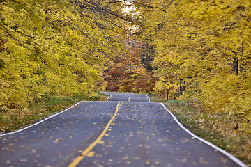 Image showing Autumn Trees