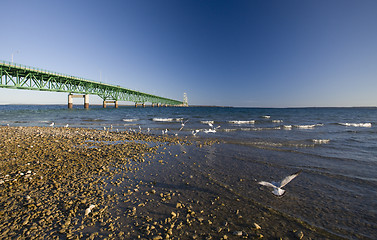 Image showing Mackinaw City Bridge Michigan