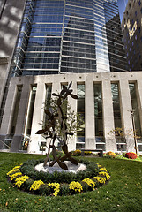 Image showing Mayo Clinic