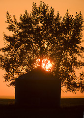 Image showing Sunset Saskatchewan Canada