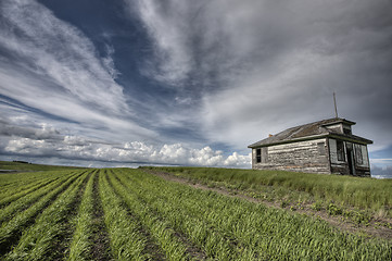 Image showing Abandoned Farm